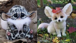 SHORT - Compilation Drôle et Mignonne de chiens et chats