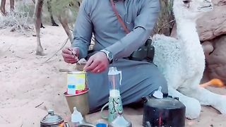 Viral camel videoin 60 sec