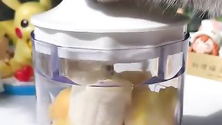 【Chef_Cat_ChangAn】The_Sound_of_Cooking_is_So_Healing!！#Shorts_#IceCreamRecipes_#CatCookingASMR