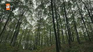 krulus osman  entry