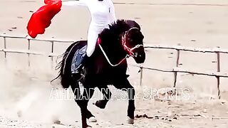 #best#top#horses#riding#2023#on#pakistan#videos 5