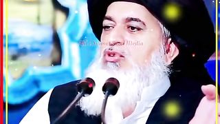Tlp zindabad hau
