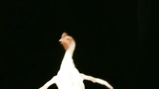 Funny clip 28