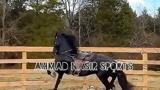 #best#top#horses#riding#2023#on#pakistan#videos 4
