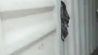 Funny video 387