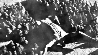 Attack On Titan _ Rod Reiss Historical