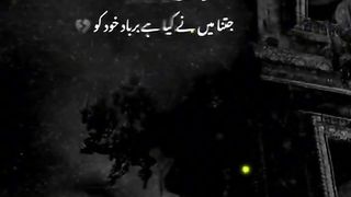 New rolany waly poytri