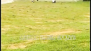 #best#top#horses#riding#2023#on#pakistan#videos 3