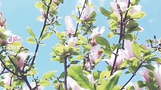 Spring 2