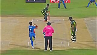 Crazy cricket