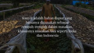 Manfaat kunyit