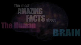 The Most Amazing Facts About The Human Brain