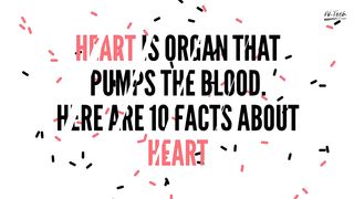 Top 10 Fascinating Facts About Heart