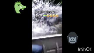 Les merveilles du Gabon