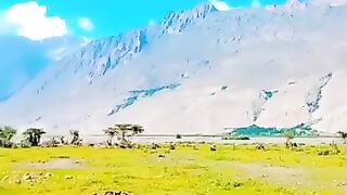 Charming place 3