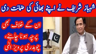 Shehbaz Shareef is guarantor of Nawaz Shareef so he should face a FIR