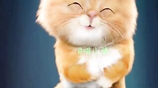 CUTE CAT BABY SHRAK