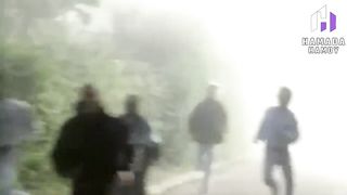 The strangest prison escapes*اغرب عمليات الهروب من السجن