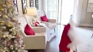 the grinch vs santa ytshorts savetube me #shorts