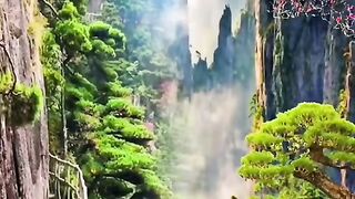 Top View Nature 13