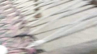 Cat video 3