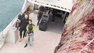 The Meg Hollywood best movie