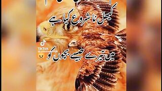 Potery 02
