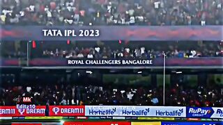 Faf dplessis