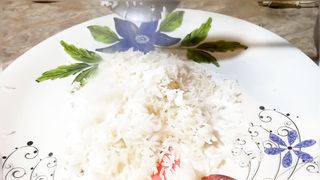 Singaporean rice 2