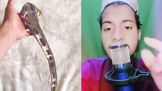 Allah Ki Qudrat ka najara