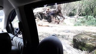 animals 5