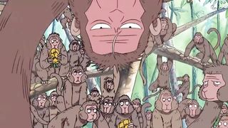 One piece funny moment