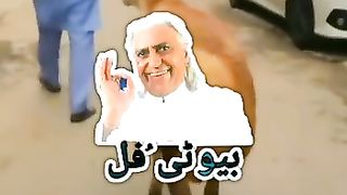 دلچسپ ویڈیو