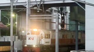 the train at the station is waiting to depart