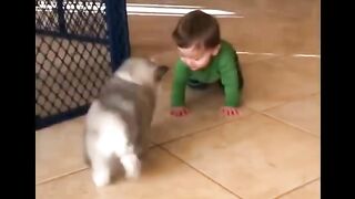 bébés chiens???? compilation de vidéos de chiens mignons et drôles????❤chiots les plus mignons????.