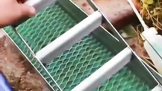 Vídeos aleatórios e variados 4