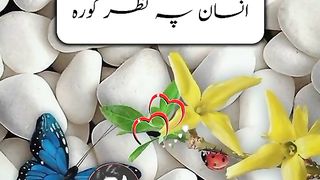 نیو سٹیٹس ویڈیو 2023 11