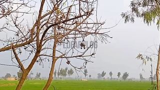 Rabba Kad Dil | Village Life Style | LofarVlog