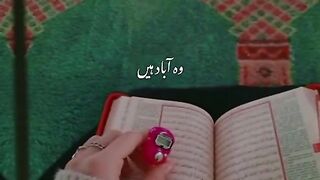 Jin k dil me dolty kran ha