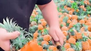 Fresh fruits 2