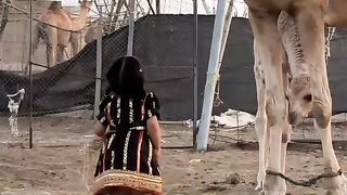 Baby play with camel/camel/sohailT22vlog