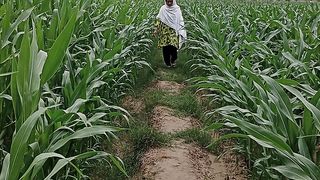 Hamara|| pyara gaon
