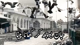 Roza kin chizon sy toot jata hai||Fasting is broken by what things? #Islamicstatus #Spreadislam @Kashafbutt