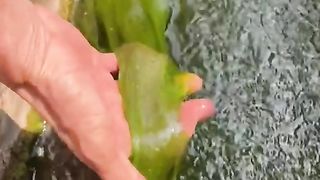 good video #shorts