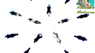 Synchronized Dance