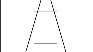 Optical illusion  line  can you finde it