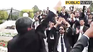زندہ ہیں عمران کے وکلاء زندہ ہے #imrankhan #publicnews #breakingnews