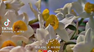 Qasida 2