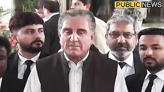 بھٹو آئین بناتا ہے اور نواسہ آئین توڑتا ہے| #publicnews #breakingnews #imrankhan