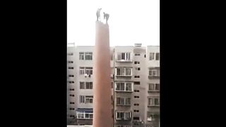 LES IDIOTS AU TRAVAIL( DROLE,FUN)